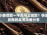 小额借款一千元马上放款？快速到账的实用攻略分享