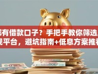 哪有借款口子？手把手教你筛选正规平台，避坑指南+低息方案推荐