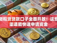 微粒贷贷款口子全面开放！这些渠道能快速申请资金