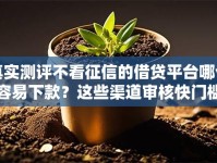 真实测评不看征信的借贷平台哪个容易下款？这些渠道审核快门槛低