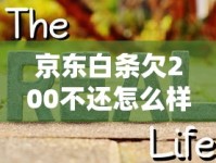 京东白条欠200不还怎么样？真实后果与解决妙招