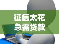征信太花急需贷款怎么办？手把手教你破解申贷难题
