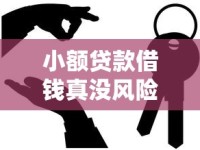 小额贷款借钱真没风险？这几点不注意可能吃大亏！