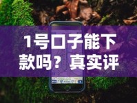 1号口子能下款吗？真实评测+避坑指南（附详细攻略）