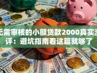 无需审核的小额贷款2000真实测评：避坑指南看这篇就够了