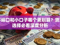 苏峪口和小口子哪个更划算？贷款选择必看深度分析