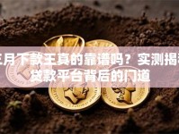 三月下款王真的靠谱吗？实测揭秘贷款平台背后的门道
