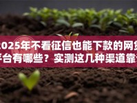2025年不看征信也能下款的网贷平台有哪些？实测这几种渠道靠谱