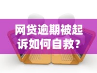 网贷逾期被起诉如何自救？律师教你正确处理债务纠纷