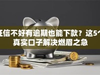 征信不好有逾期也能下款？这5个真实口子解决燃眉之急