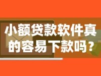 小额贷款软件真的容易下款吗？平台审核内幕深度解析