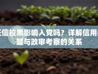 征信拉黑影响入党吗？详解信用问题与政审考察的关系