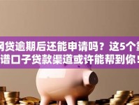 网贷逾期后还能申请吗？这5个靠谱口子贷款渠道或许能帮到你！