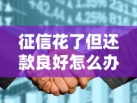 征信花了但还款良好怎么办？这份贷款避坑指南帮你轻松过关