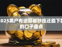 2025黑户有逾期被秒拒还能下款的口子盘点