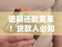 逾期还款变革！贷款人必知的信用影响与协商技巧