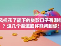 风控花了能下的贷款口子有哪些？这几个渠道或许能帮到你！