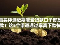 真实评测近期哪些贷款口子好放款？这5个渠道通过率高下款快