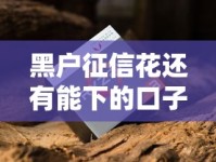 黑户征信花还有能下的口子吗？这5个渠道或许能帮到你！