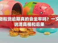 微粒贷逾期真的会坐牢吗？一文说清真相和后果