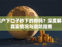 黑户下口子秒下的有吗？深度解析真实情况与避坑指南