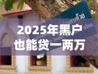 2025年黑户也能贷一两万？最新避坑指南+实用技巧速看！