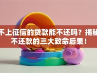 不上征信的贷款能不还吗？揭秘不还款的三大致命后果！