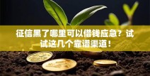 征信黑了哪里可以借钱应急？试试这几个靠谱渠道！