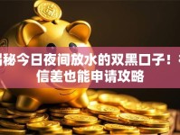 揭秘今日夜间放水的双黑口子！征信差也能申请攻略