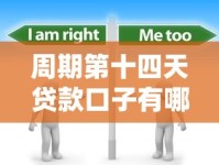 周期第十四天贷款口子有哪些？这些渠道必须了解
