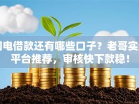 闪电借款还有哪些口子？老哥实测平台推荐，审核快下款稳！