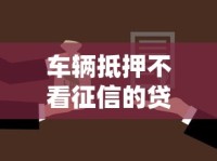 车辆抵押不看征信的贷款有哪些？5种情况解析
