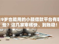 19岁也能用的小额借款平台有哪些？这几家审核快、到账稳！