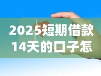 2025短期借款14天的口子怎么选？这些注意事项要牢记
