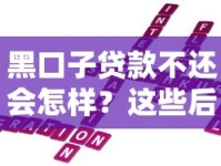 黑口子贷款不还会怎样？这些后果你可能想不到！