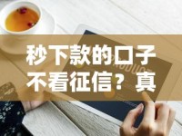 秒下款的口子不看征信？真实测评+避坑指南 快速到账技巧全解析