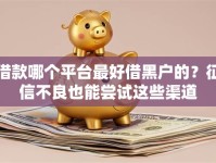 借款哪个平台最好借黑户的？征信不良也能尝试这些渠道