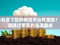 最容易下款的网贷平台有哪些？实测通过率高的渠道盘点