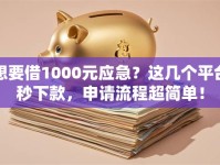 想要借1000元应急？这几个平台秒下款，申请流程超简单！