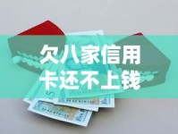 欠八家信用卡还不上钱怎么办？真实协商经验与自救指南