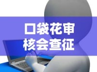 口袋花审核会查征信吗？平台对用户信用记录的真实态度解析