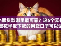 小额贷款哪里最可靠？这5个无视黑花半夜下款的网贷口子可以试试