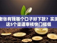 老张有钱哪个口子好下款？实测这5个渠道审核快门槛低