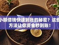 小额借钱快速到账的秘密？这些方法让你资金秒到账！