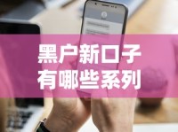 黑户新口子有哪些系列？这几个渠道下款成功率更高