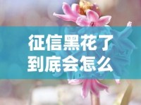 征信黑花了到底会怎么样？这几点影响你一定要知道！