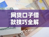 网贷口子借款技巧全解析：避坑指南与高效申请策略