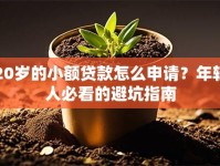 20岁的小额贷款怎么申请？年轻人必看的避坑指南
