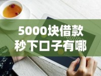 5000块借款秒下口子有哪些靠谱平台？这5个技巧助你快速到账