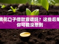 黑花口子借款靠谱吗？这些后果你可能没想到